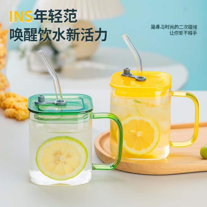 Premium 490ml Borosilicate Glass Cup with Lid & Straw
