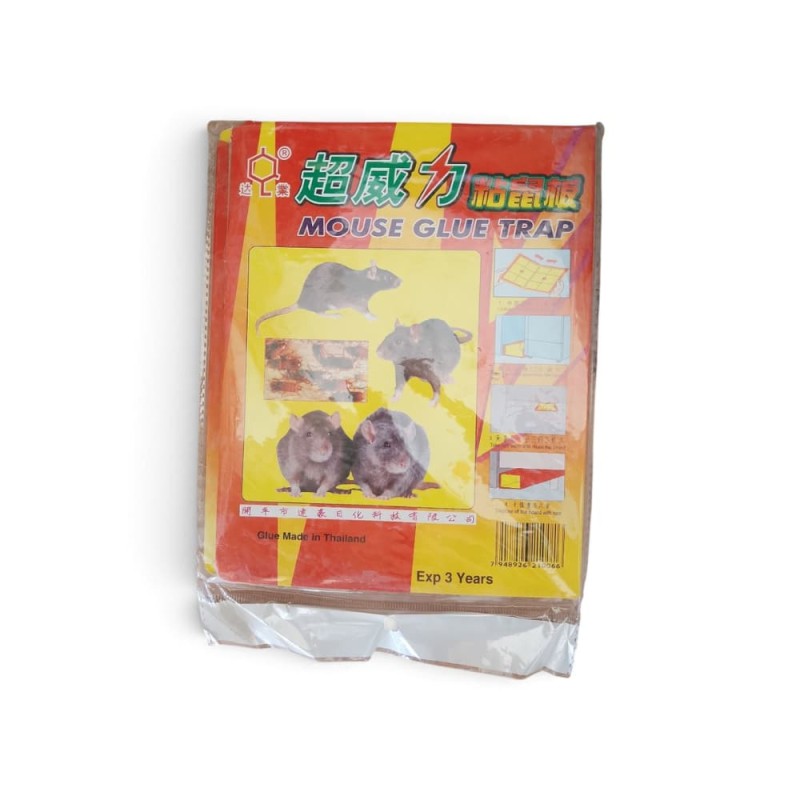 Supar power mouse glue trap Thailand